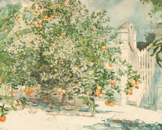 Garden Oranges