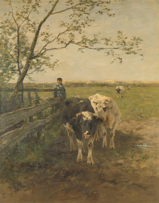 Tending the Cows