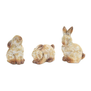 Terracotta Bunnies, 3 Styles