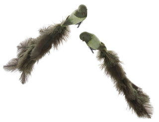 Faux Green Plumed Tailed Feathered clip on bird ornament slope house mercantile holiday 2023 gatsby art deco