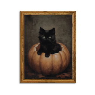 black kitten in carved halloween pumpkin print slope house mercantile home decor store print to fit custom size