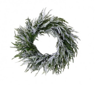 fresh snowed on norfolk pine christmas wreath 24 inches Slope House Mercantile