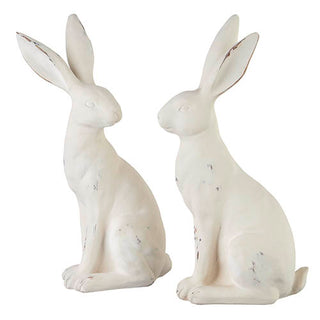 Distressed White Rabbits, 2 Styles