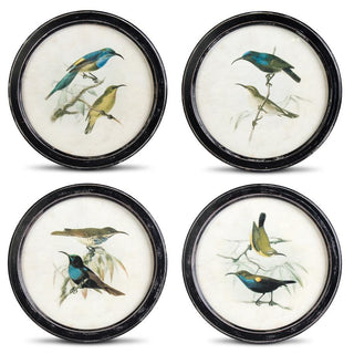 Birds in Round Frames