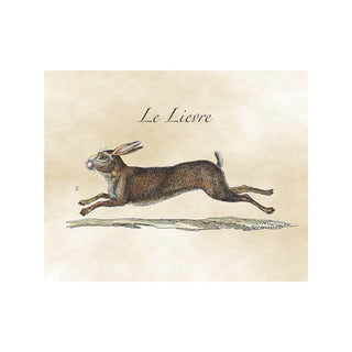 french hare lievre art print antiqued slope house best art prints online
