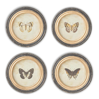 Round Frame Butterfly Prints