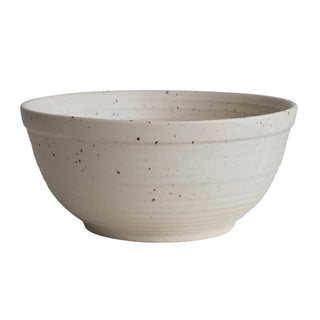 Cream Color Speckled Stoneware Bowl