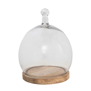 Rounded Glass Cloche with Mango Wood Base